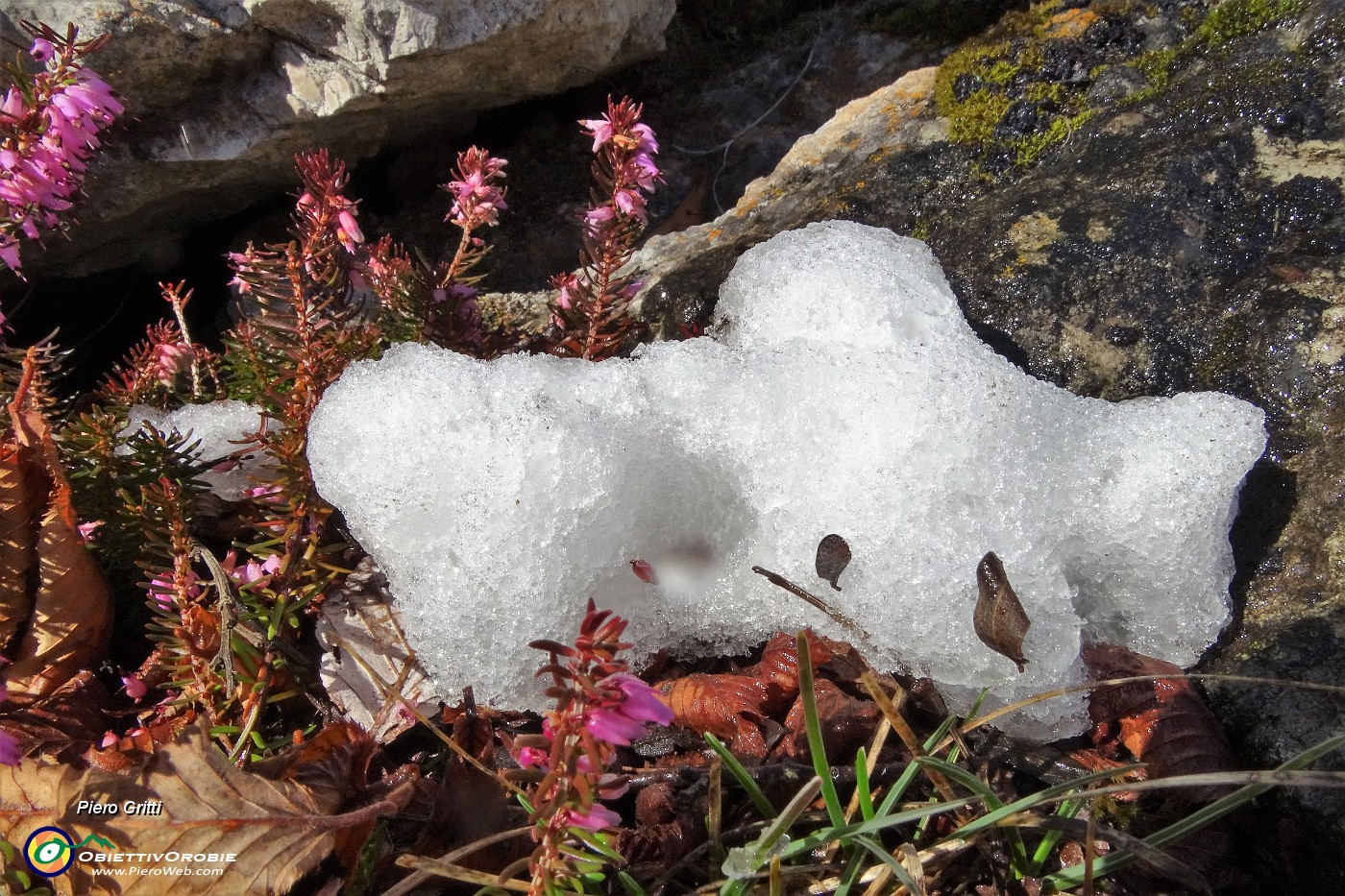 32 La neve si scioglie al sole ...arriva la primavera!.JPG